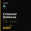 Criminal Defense Google Ads Template - $497