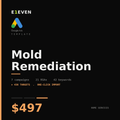Mold Remediation Google Ads Template - $497