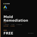 Mold Remediation Google Ads Template - Free