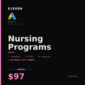 Nursing Programs Google Ads Template - $97