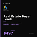 Real Estate Buyer Leads Google Ads Template - $497