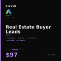Real Estate Buyer Leads Google Ads Template - $97