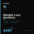 Weight Loss Bariatric Google Ads Template - $497